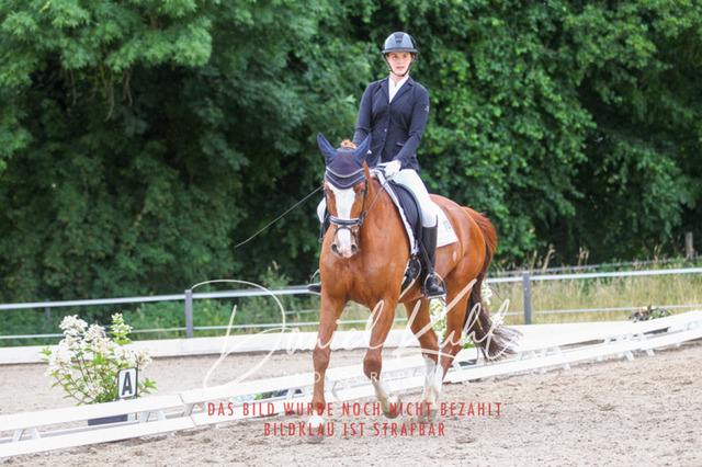 DKP46884 | Turniersportfotografie; Pferdefotografie; Dressurfotografie