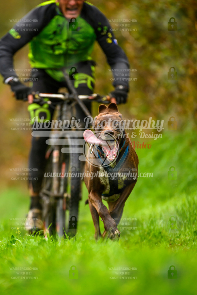 MompixPhotography_20TSB_E8_Bike-42 | PayLife