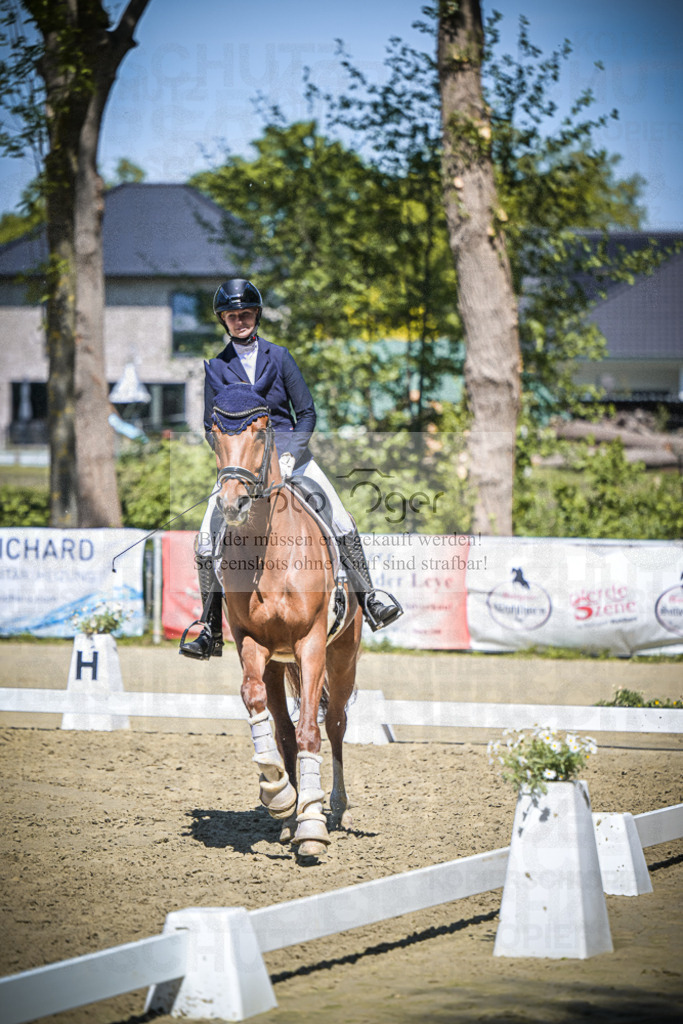 DOS_7883 | Entdecke hochwertige Reitturnierfotos von Foto Oger. Professionell, emotional und authentisch – jetzt Lieblingsmomente im Shop bestellen.Deutschlandweite Turnierfotografie. - Realisiert mit Pictrs.com