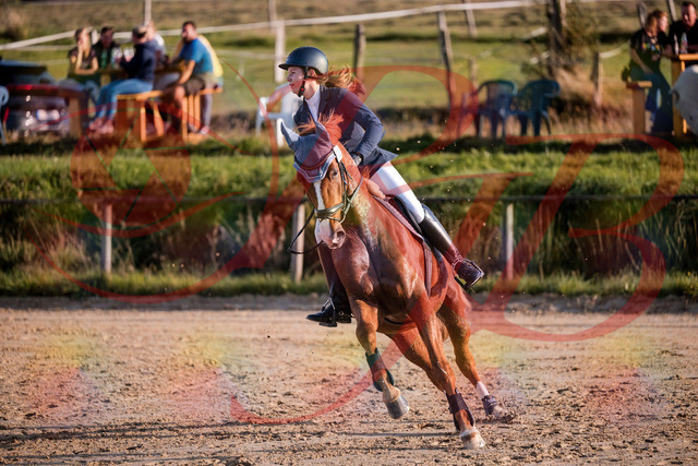 2026_10_03_Siefer-Hof_171212_Z81_09218060 | Professionelle Reitsport-, Turnier- und Eventfotografie von Robert Broda. Galerien mit ausgewählten und bearbeiteten Bildern direkt online ansehen und bestellen.