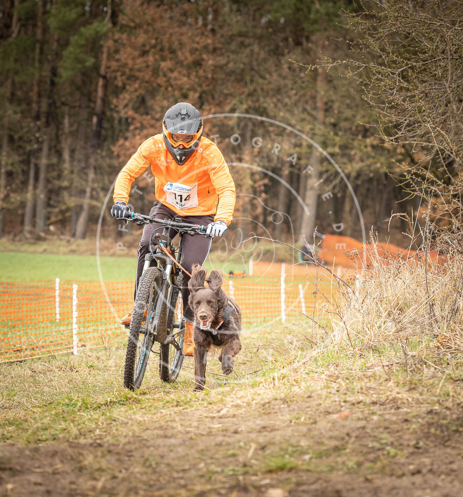 DV3A0937 | Hundefotografie, Tierfotograf, Pfotenfotografie, Fotoshooting Hund, Hunde Portrait, Hundesport, Hundeportraits, Heideshooting, Hunde, Sportfotograf, Hundefotograf, Turnierhundsport, THS,  - Realisiert mit Pictrs.com