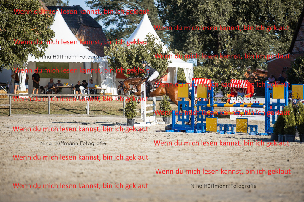 BK1A7815 | Turnierbilder Turnierfotos Nina Hüffmann Turnierfotografie Pferdefotografie Tierzeichnung Haustierzeichnung Pferdezeichnung Hundezeichnung Videograf  - Realisiert mit Pictrs.com