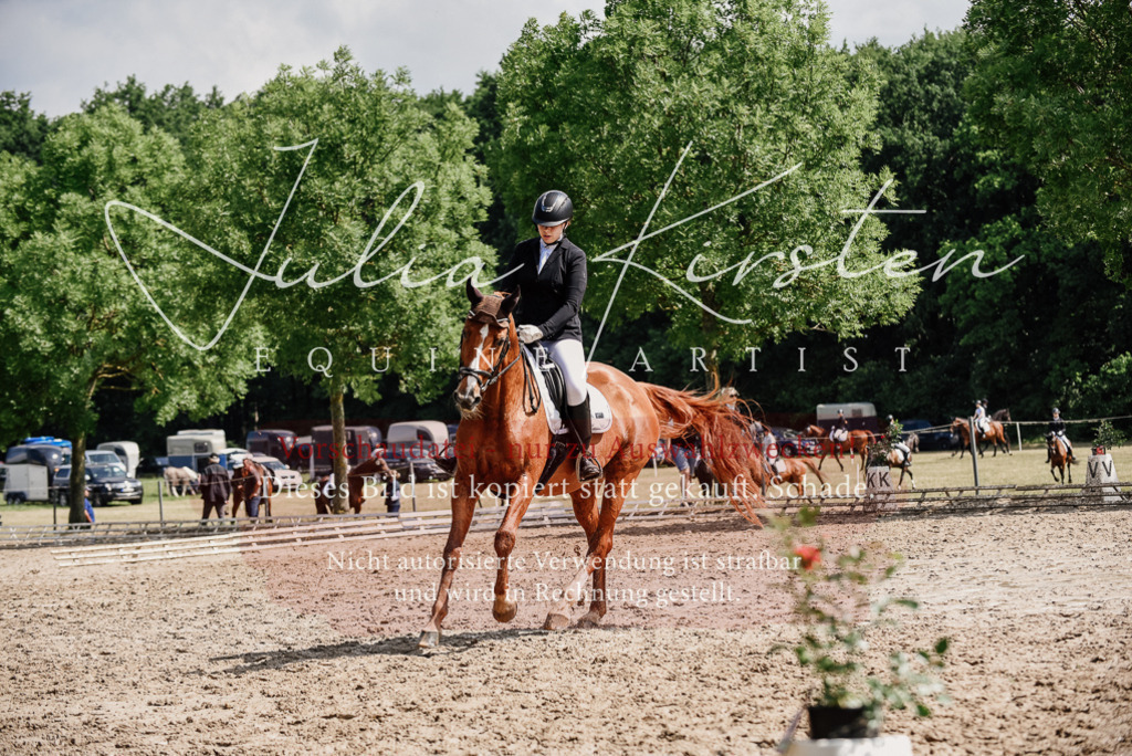 DSC_0316 | Pferde- und Turnierfotografie in Westsachsen. Pferdeportraits, Auftragszeichnungen und intuitive Kunst.