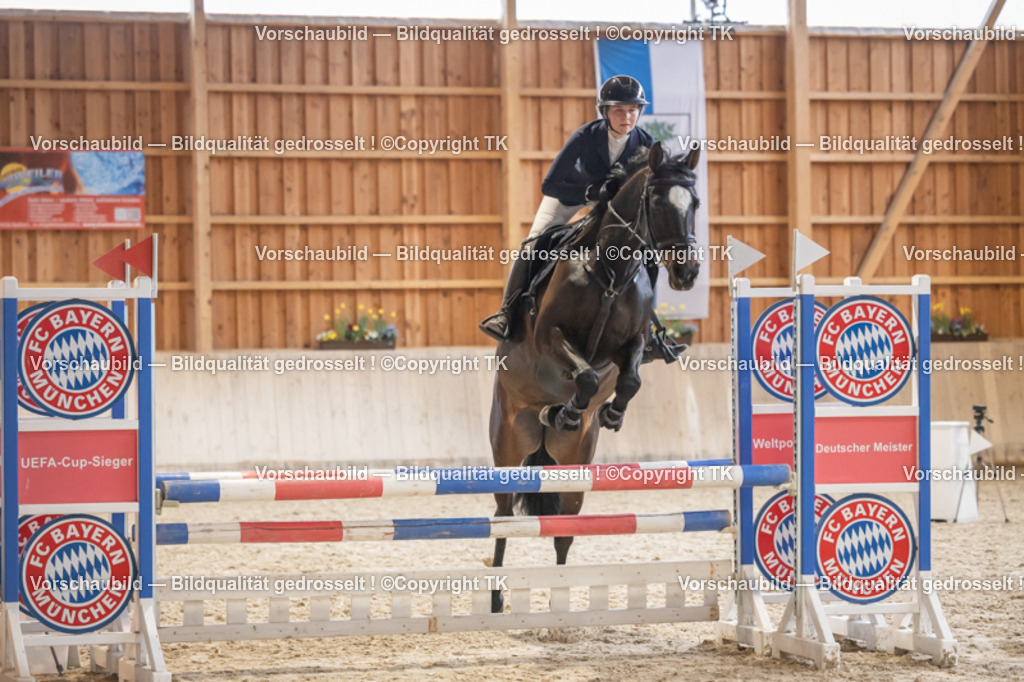 _D5A8094 | Emotionale Pferde- & People-Fotografie rund um Heidelberg, Leimen & Umgebung. Natürliche Fotos von Pferd, Mensch & Familie. Jetzt Termin sichern!