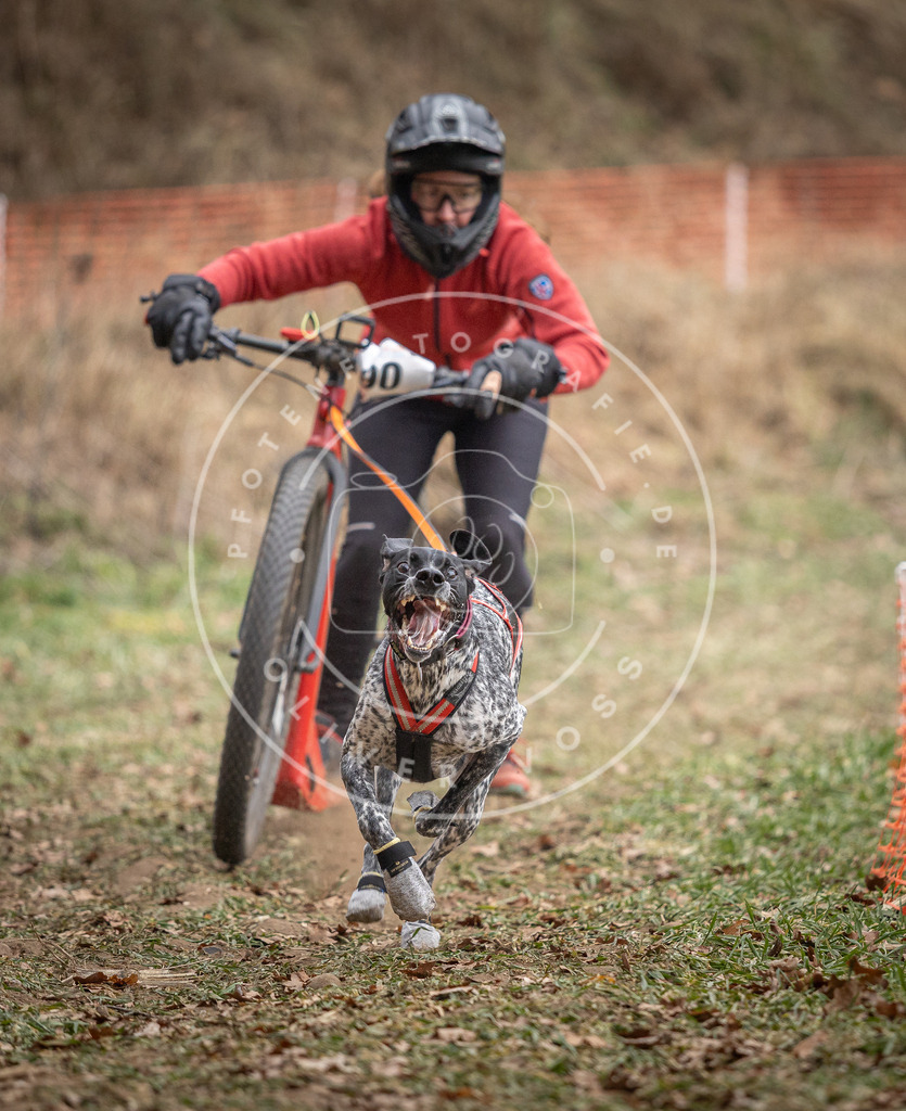 Pfotenfotografie_DV3A6680 | Hundefotografie, Tierfotograf, Pfotenfotografie, Fotoshooting Hund, Hunde Portrait, Hundesport, Hundeportraits, Heideshooting, Hunde, Sportfotograf, Hundefotograf, Turnierhundsport, THS,  - Realisiert mit Pictrs.com
