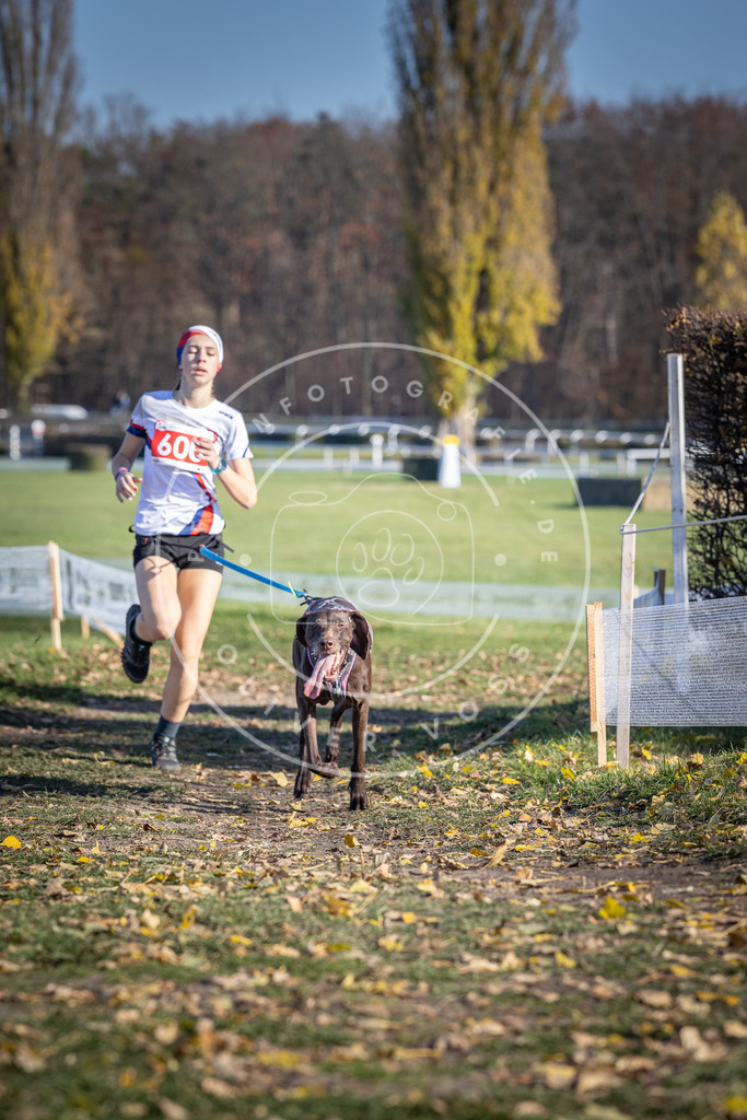 CaniXpix_DV3A9464 | Hundefotografie, Tierfotograf, Pfotenfotografie, Fotoshooting Hund, Hunde Portrait, Hundesport, Hundeportraits, Heideshooting, Hunde, Sportfotograf, Hundefotograf, Turnierhundsport, THS,  - Realisiert mit Pictrs.com