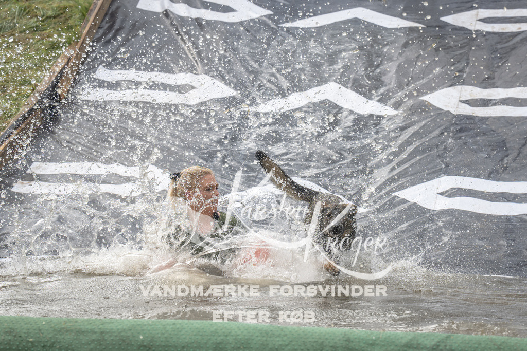 1134_ZZ93019 | kk-dogfotos