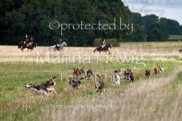 08-23 Bredeneek Jagd_MCH8713_Marina Hewig | Fotografie, FotoArt, PferdesportArt, Pferdesportfotografie, Landschaftsfotografie, Reisefotografie, Reise, Pferde - Realisiert mit Pictrs.com