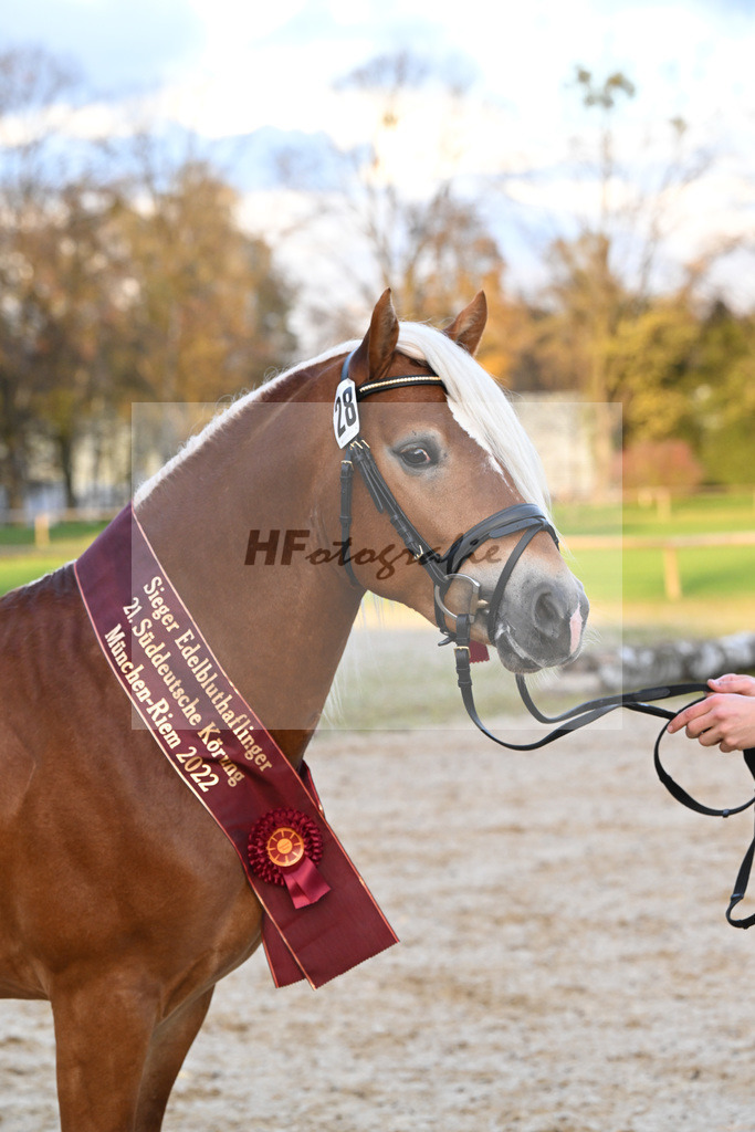 Kat-Nr. 28 Napoleon v. Nakuri_Lechner_60221856 | hf-fotografie - Realisiert mit Pictrs.com