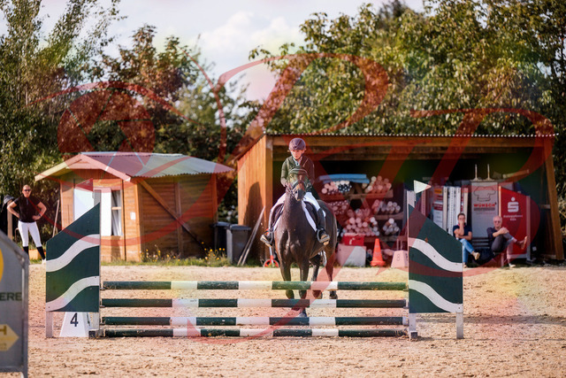 2026_10_03_Siefer-Hof_154934_Z81_68200886 | Professionelle Reitsport-, Turnier- und Eventfotografie von Robert Broda. Galerien mit ausgewählten und bearbeiteten Bildern direkt online ansehen und bestellen.