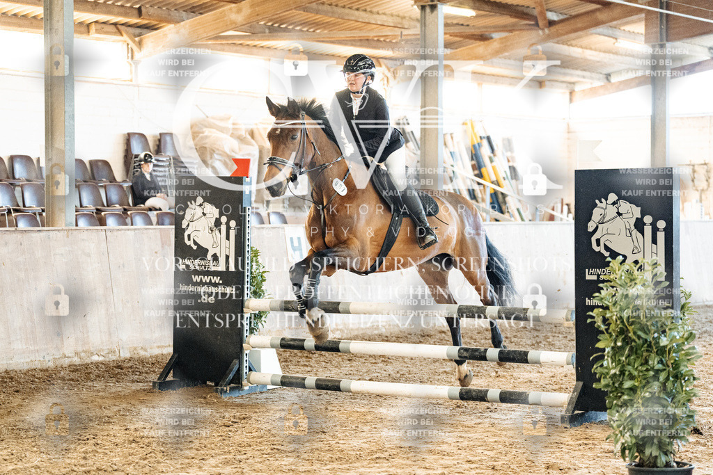 CK904772 | Turnierfotografie Pferdefotografie Trier Rheinland-Pfalz Pferdesport Reitsport Tierfotografie Sportfotografie Pferdevideo Pferdevideografie Equestrianvideography equestrianphotography  - Realized with Pictrs.com