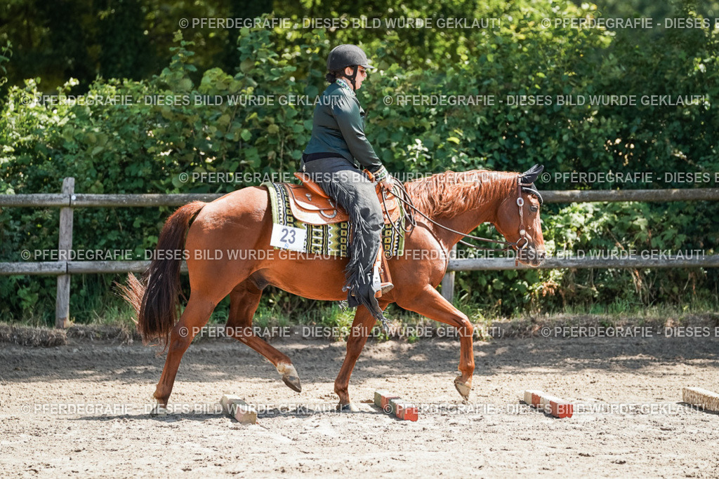 DSC06600 | Pferdegrafie