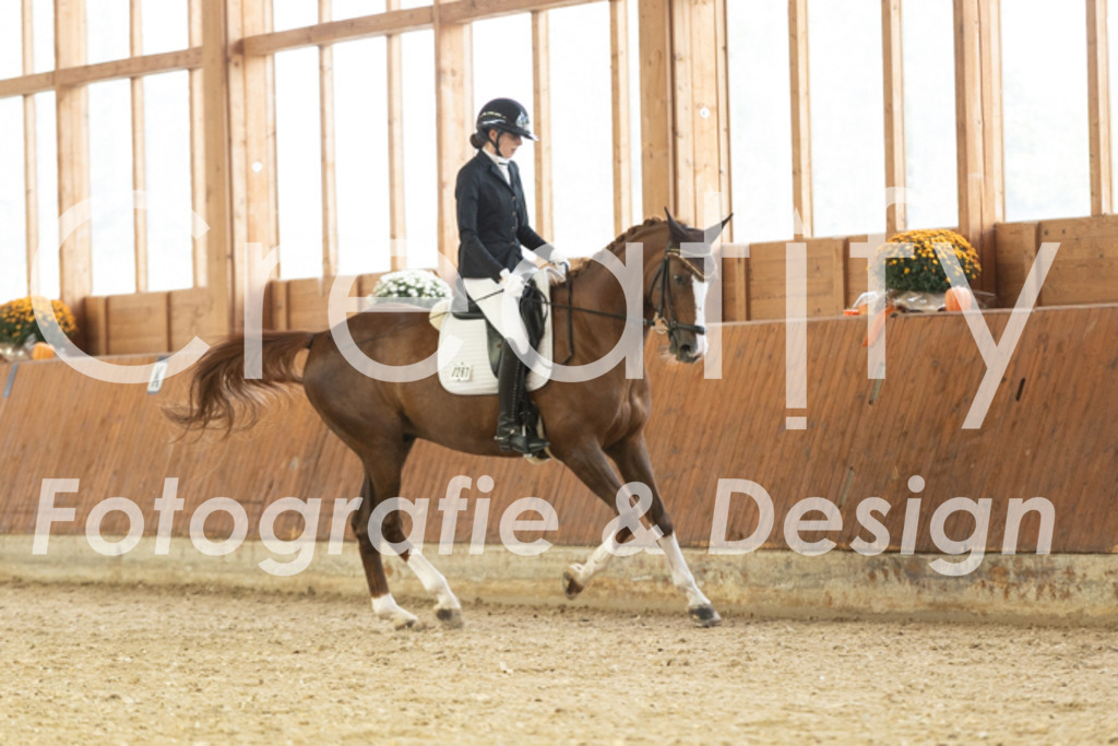 IMG_1413 | Creatify Fotografie