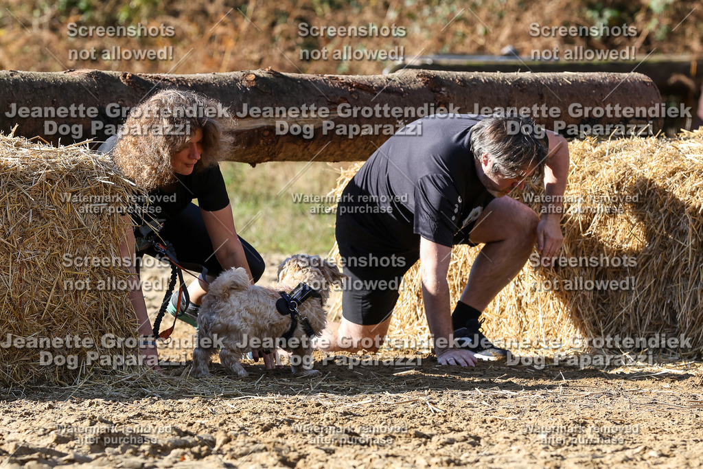 Dog Paparazzi - Strongdog 10-25-4707 | Dog Paparazzi Jeanette Grottendiek Fotografie & Videografie - Realisiert mit Pictrs.com