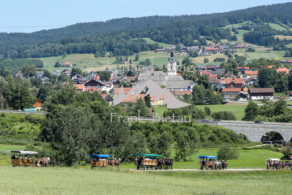 OE7A8459 | es geht wieder hinunter zurück nach Rinchnach