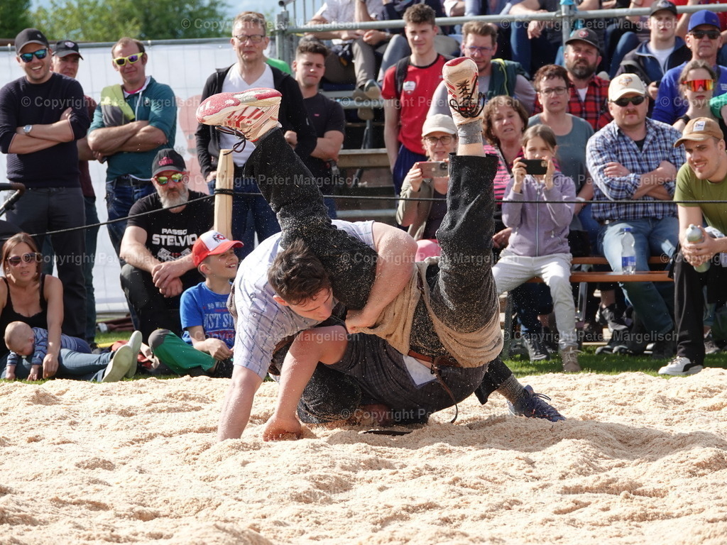 DSC06435 | Schwingen - Realisiert mit Pictrs.com