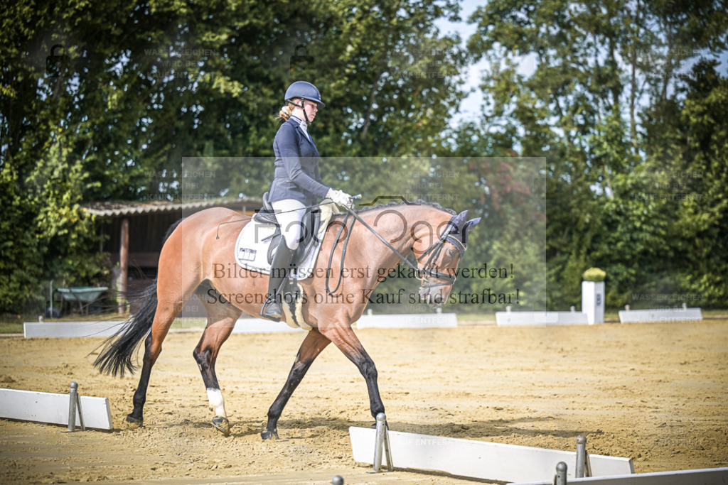 DOS_5152 | Entdecke hochwertige Reitturnierfotos von Foto Oger. Professionell, emotional und authentisch – jetzt Lieblingsmomente im Shop bestellen. - Realisiert mit Pictrs.com