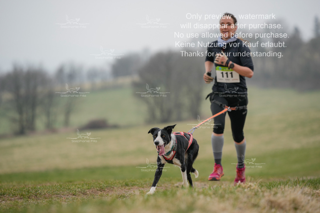 Canixlong-308 | stephaniefillaphotographie - Realisiert mit Pictrs.com