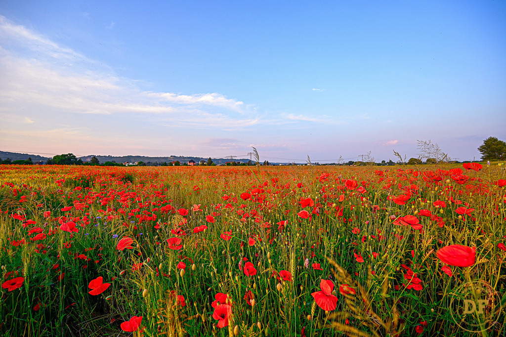 no-logo-20230620-DF_1DS8717_IP | Geschenke, Wandbilder und Accessoires mit Motiven aus Dresden und anderen schönen Orten zur Verschönerung Deines zu Hauses und zum verschenken gewünscht? Wähle Deine Lieblingsbild auf dem Produkt Deiner Wahl. 
