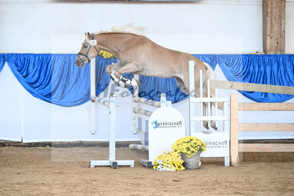 Kat-Nr. 35 nn v. Bugatti_Friedrich_48250111 | hf-fotografie - Realisiert mit Pictrs.com