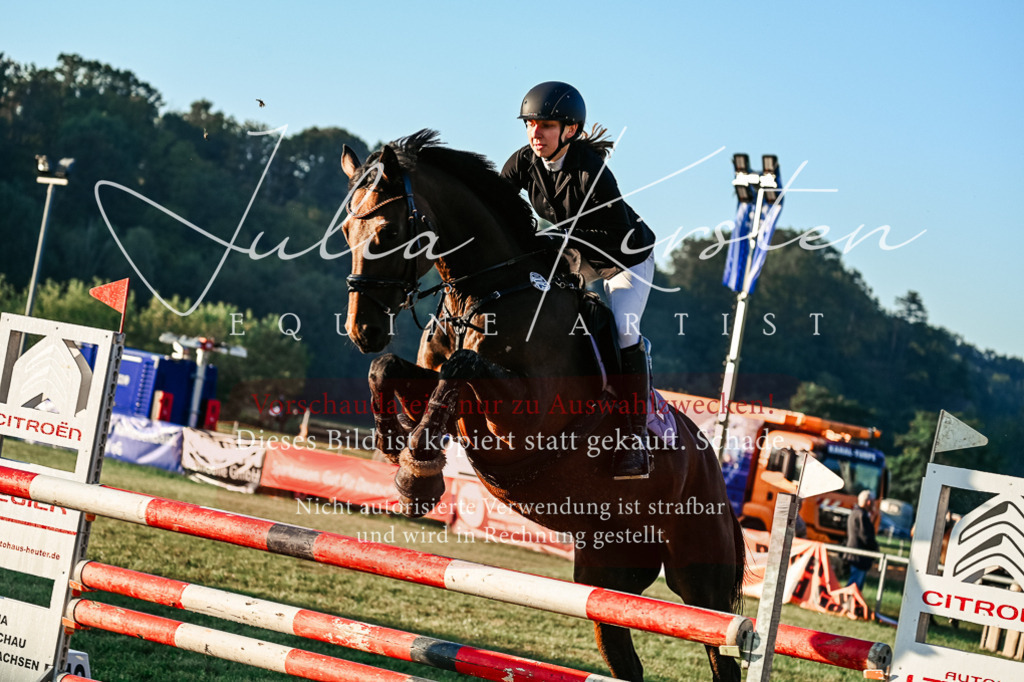 DSC_3798 | Pferde- und Turnierfotografie in Westsachsen. Pferdeportraits, Auftragszeichnungen und intuitive Kunst.