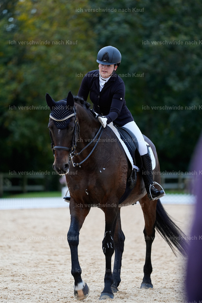 04_2-206-Dressur M__ -StoibPH-2932 | working equitationturnier fotograf videograf stoibphotography marixx film working equitation deutschland reitsport turnierfotografie eventfotografie equestrian events
