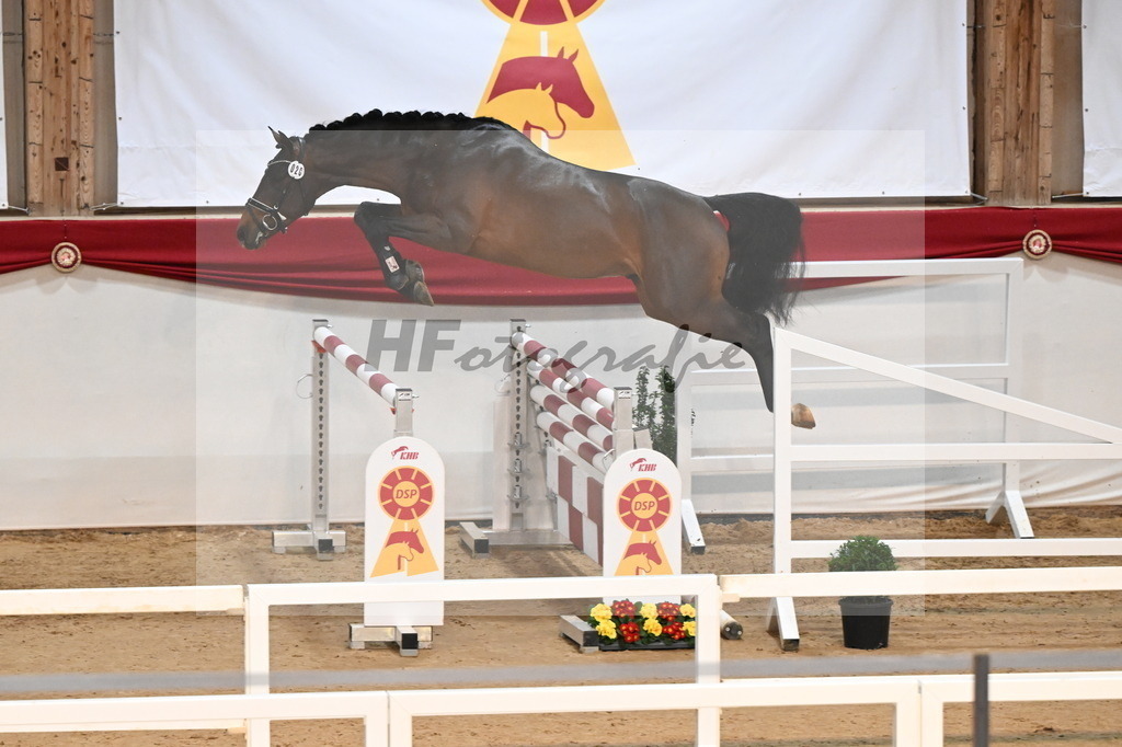 Kat.-Nr. 20 v. Dominatorre_Kohn_3261685 | hf-fotografie - Realisiert mit Pictrs.com