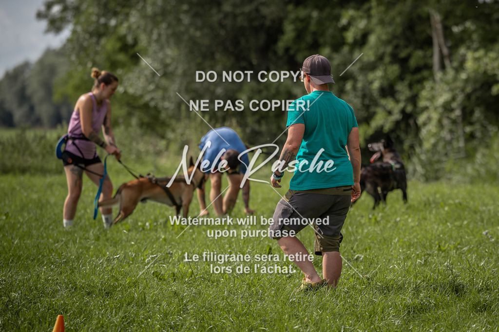 nelerasche_DoN_183 | nelerasche
