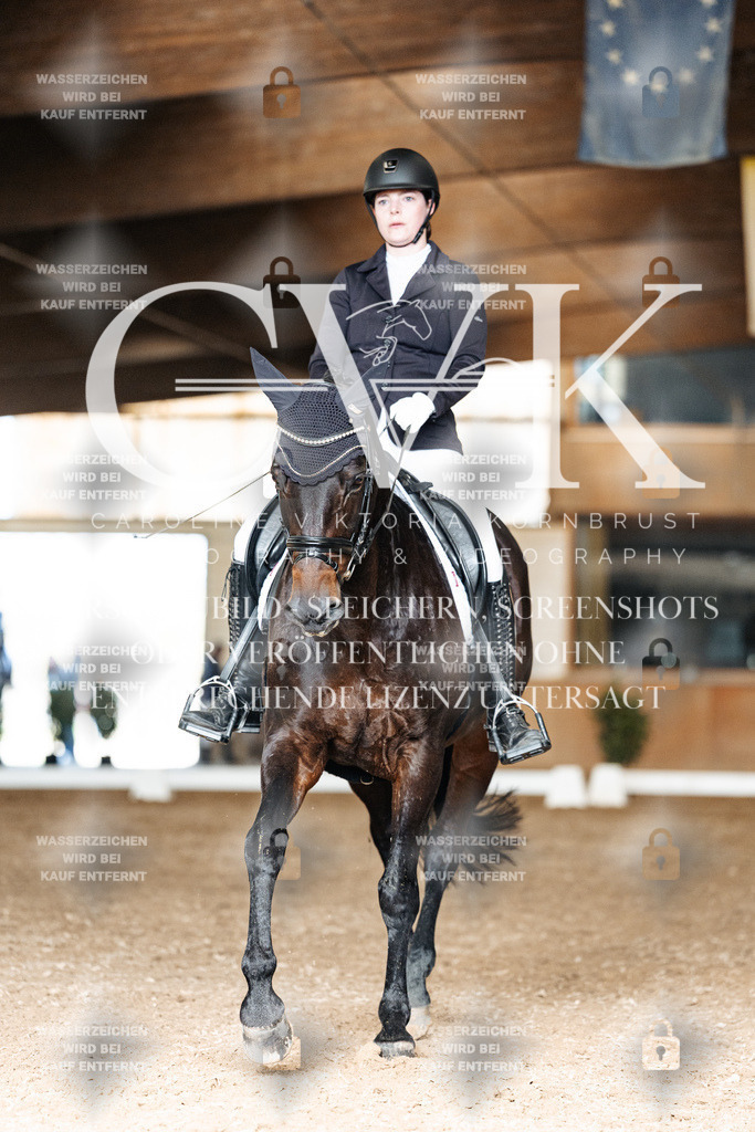 CK902098 | Turnierfotografie Pferdefotografie Trier Rheinland-Pfalz Pferdesport Reitsport Tierfotografie Sportfotografie Pferdevideo Pferdevideografie Equestrianvideography equestrianphotography  - Realisiert mit Pictrs.com