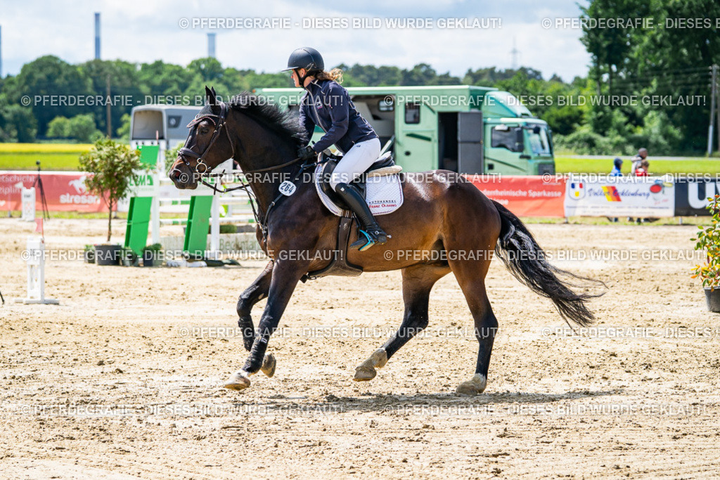 DSC05037 | Pferdegrafie