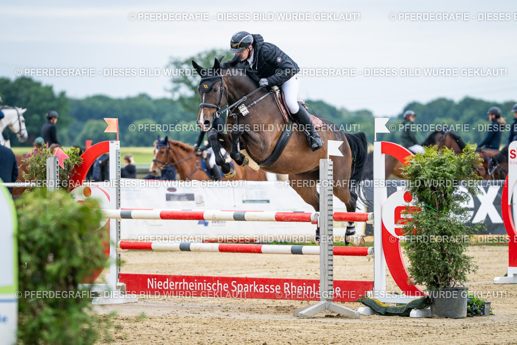 DSC04651 | Pferdegrafie