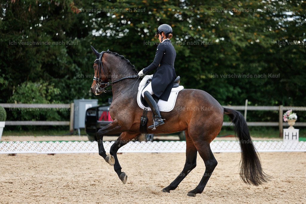 11-110-Dressur S___-StoibPH-1372 | working equitationturnier fotograf videograf stoibphotography marixx film working equitation deutschland reitsport turnierfotografie eventfotografie equestrian events