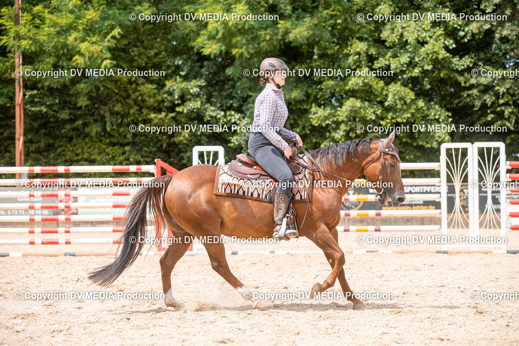 EWP_6599 | dv-media-shop - Realisiert mit Pictrs.com