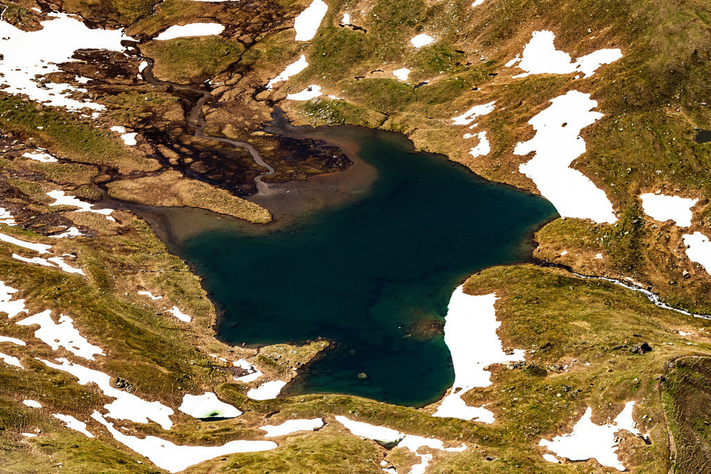 dr__0026399.jpg | RANEBURGER SEE 25.06.2019 Uferbereiche am Seegebiet des Raneburger See in den Alpen in Tirol, Österreich. // Riparian areas on the lake area of Raneburger See in a forest area in in Tirol, Austria. Foto: Daniel Reiter