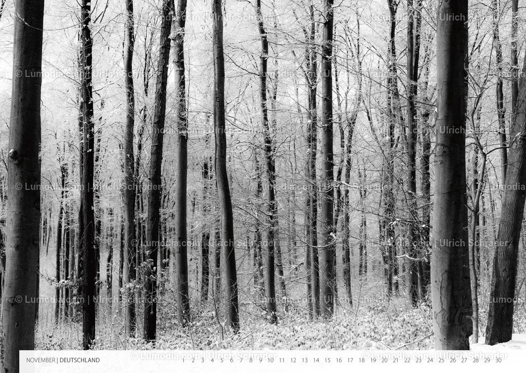 Kalender_Ausstellung_Landschaften-12 | Stockfoto und Bilderpool mit Bildmaterial aus Deutschland, dem Harz, Halberstadt, Quedlinburg, Wernigerode und weltweit. Qualitativ hochwertige und professionelle Fotos anschauen und kaufen. - Realisiert mit Pictrs.com