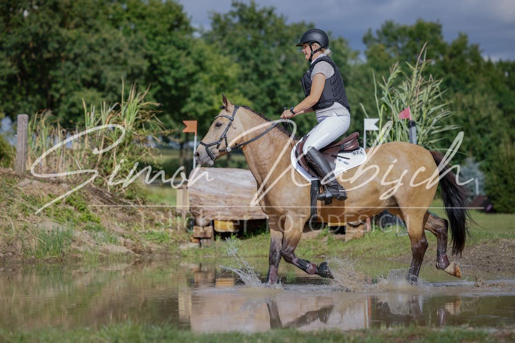 20250905-_3LI0901 | Tierfotografie Pferde, Hunde, Katzen, Haustiere.
Turnierfotografie Reitturniere, Reiten, Springreiten, Dressur in Hanau, dem Main-Kinzig-Kreis und dem Rhein-Main- Gebiet um Frankfurt