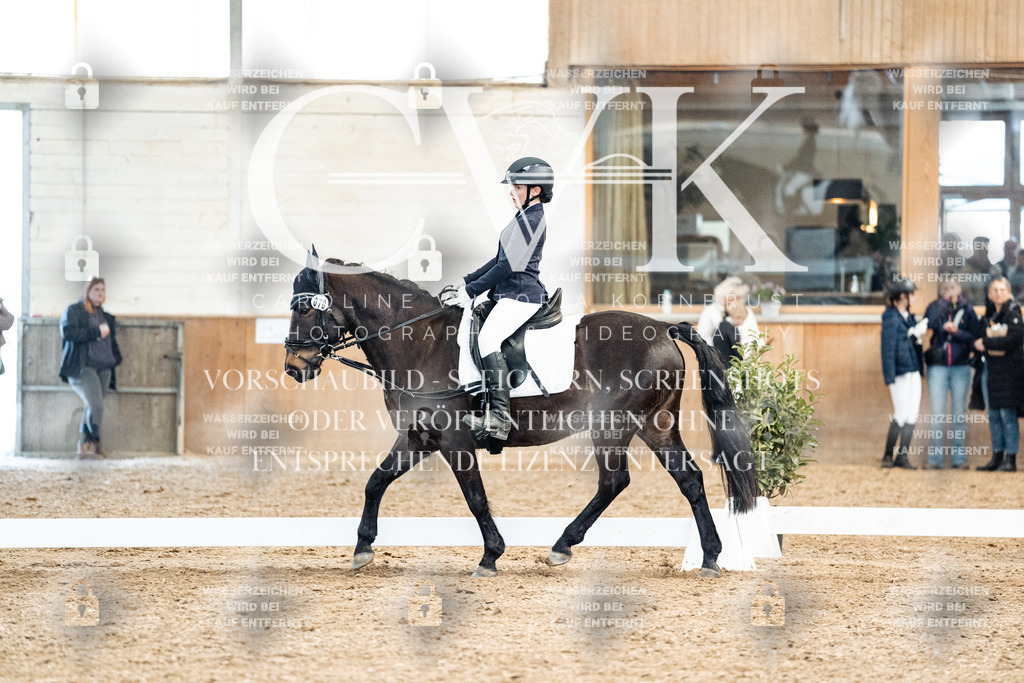 CK900252 | Turnierfotografie Pferdefotografie Trier Rheinland-Pfalz Pferdesport Reitsport Tierfotografie Sportfotografie Pferdevideo Pferdevideografie Equestrianvideography equestrianphotography  - Realisiert mit Pictrs.com
