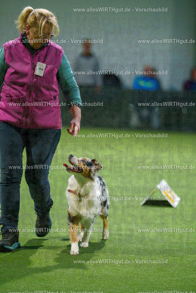 7R509602 | Professionelle Tierfotografie in Mönchengladbach von Daniel Wirth (allesWIRTHgut). Liebevolle & natürliche Bilder von Hunden & Katzen für unvergessliche Erinnerungen.