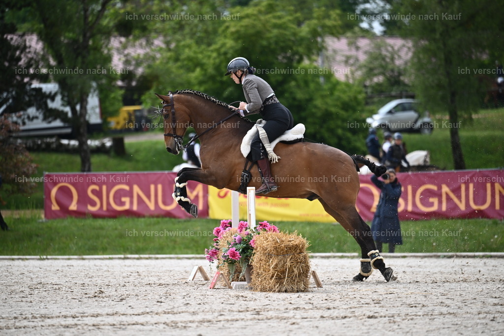 PI26_SP_Sara_Landvogt_226_4435.JPG | working equitationturnier fotograf videograf stoibphotography marixx film working equitation deutschland reitsport turnierfotografie eventfotografie equestrian events