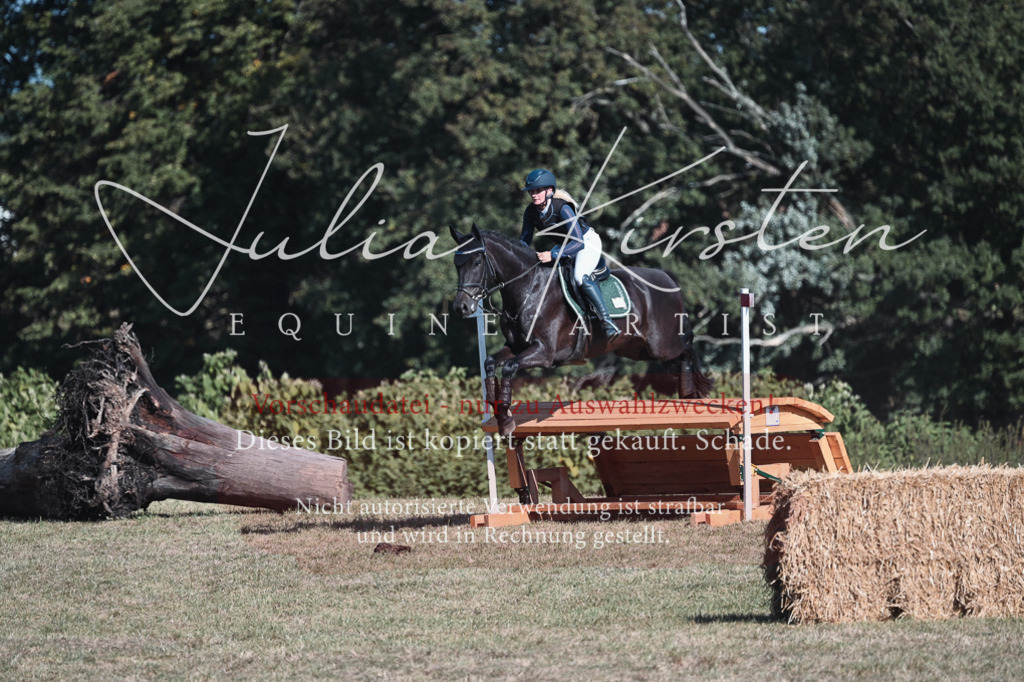 DSC_8808 | Pferde- und Turnierfotografie in Westsachsen. Pferdeportraits, Auftragszeichnungen und intuitive Kunst.
