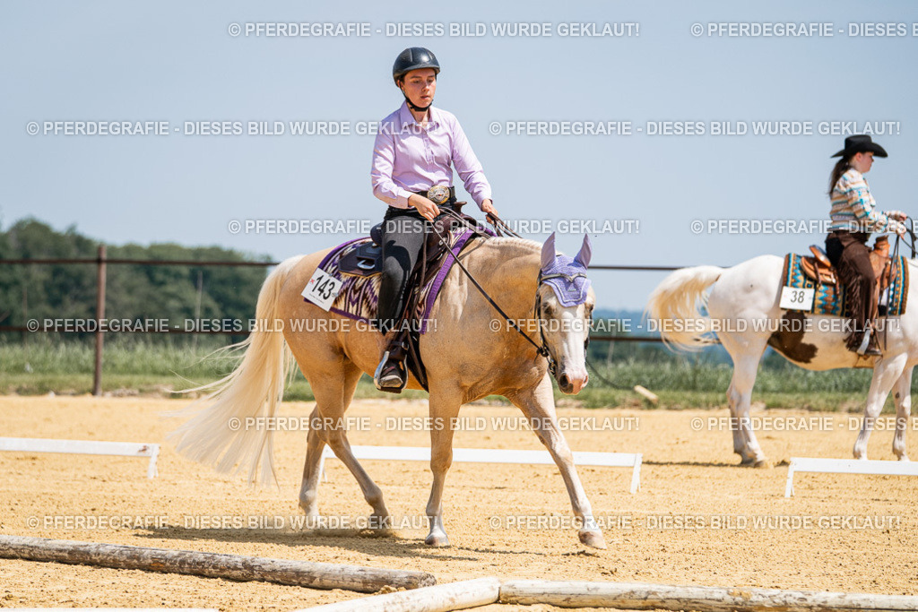 DSC01114 | Pferdegrafie