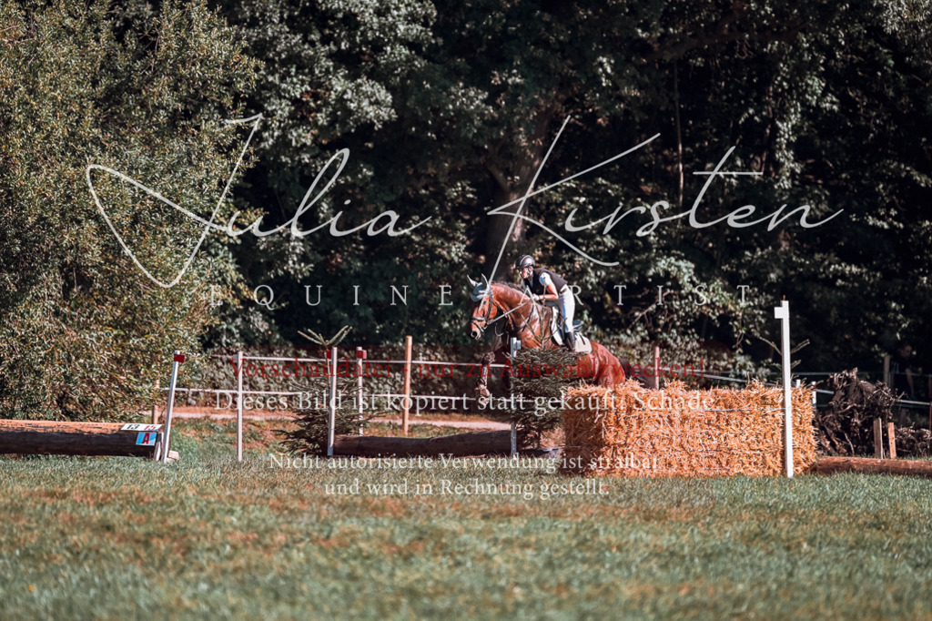 DSC_0999 | Pferde- und Turnierfotografie in Westsachsen. Pferdeportraits, Auftragszeichnungen und intuitive Kunst.