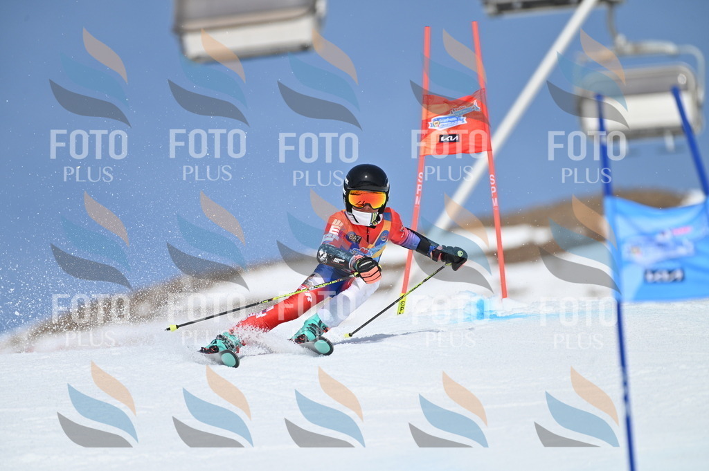 BGV_0781 | holidayphoto