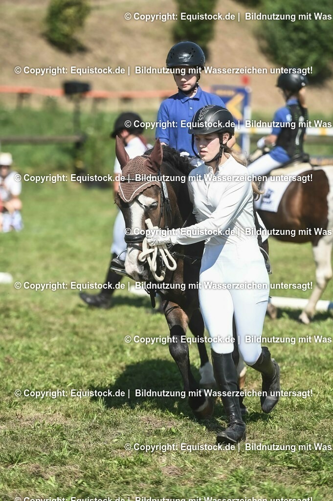 20230910_11-2_Führzügel-WB_0069 | Foto: Thomas Hartig