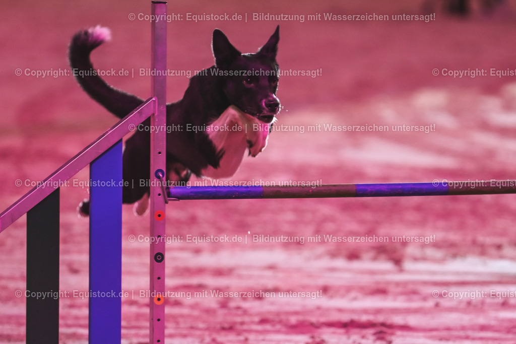 20241113_Showabend_TOMsPiC_0613 | Foto: Thomas Hartig