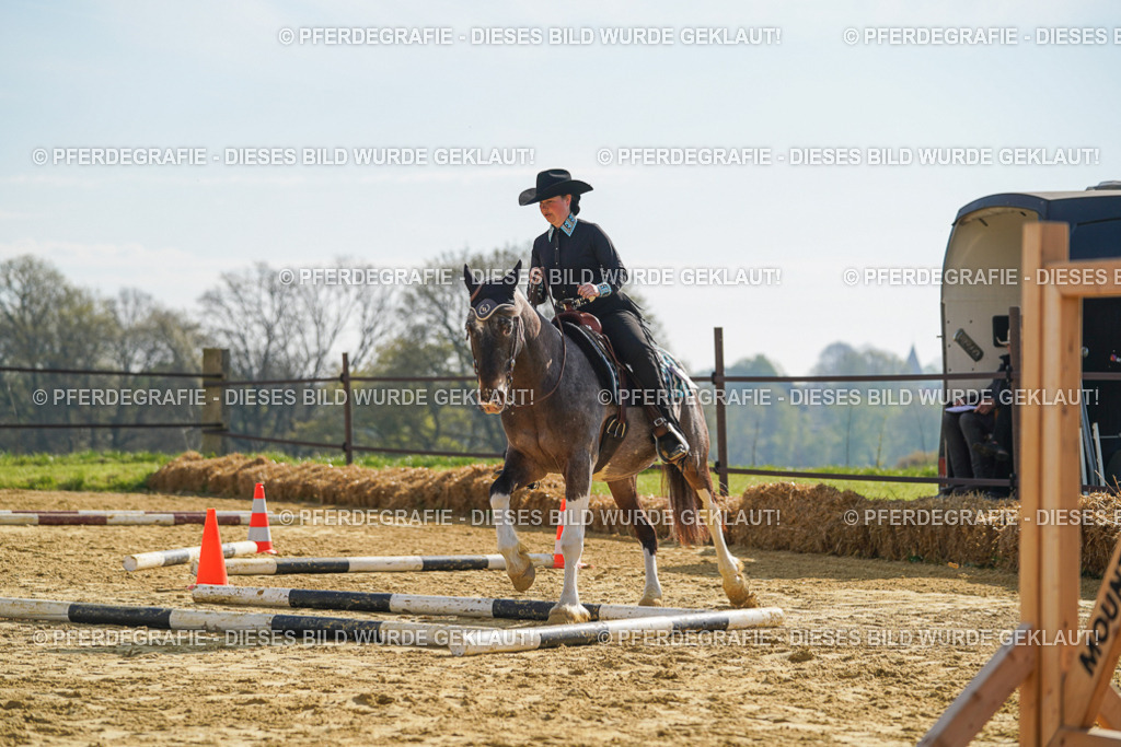 DSC01105 | Pferdegrafie