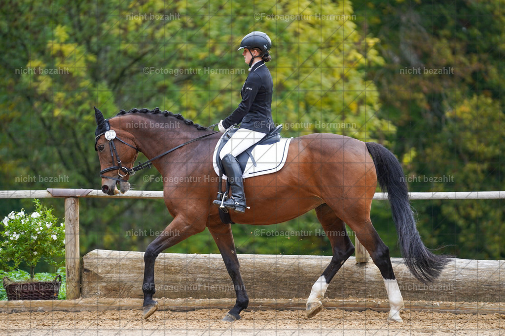 20221008-FAH01109 | Diessen am Ammersee, 2022, Dressur- und Springturnier, Reitsportbilder, Turnierfotografen Bayern, Pferdefotografen, Fotoagentur Herrmann, Turnierbilder