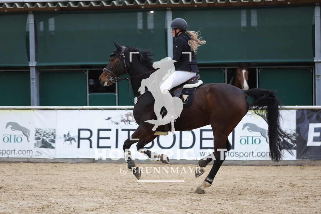 0P6A4007 | Willkommen bei Brunnmayr - Design & Fotografie – Ihrem Spezialisten für Reitturniere und Pferdeveranstaltungen in Oberösterreich, Salzburg und Bayern! Seit über 17 Jahren sind wir leidenschaftlich dabei.