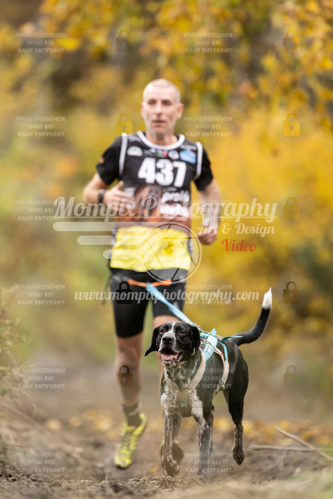 MompixPhotography_ICF_WC_2024_SA_Run_-453 | PayLife