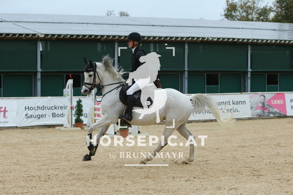 DL2Q3968 | Willkommen bei Brunnmayr - Design & Fotografie – Ihrem Spezialisten für Reitturniere und Pferdeveranstaltungen in Oberösterreich, Salzburg und Bayern! Seit über 17 Jahren sind wir leidenschaftlich dabei.